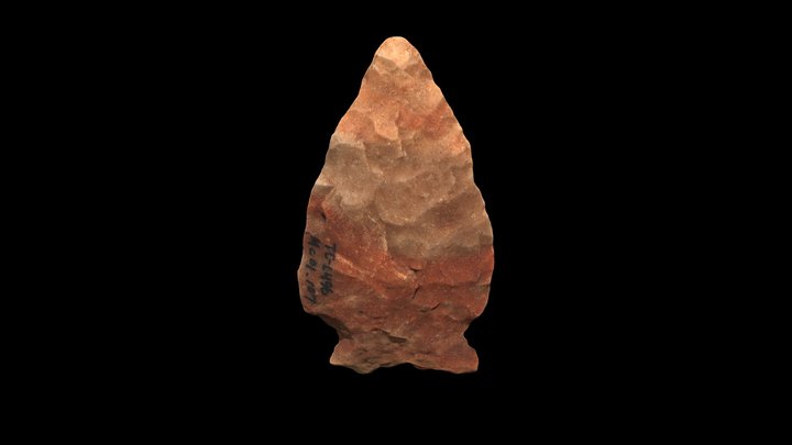 Small Projectile Point 3D Model