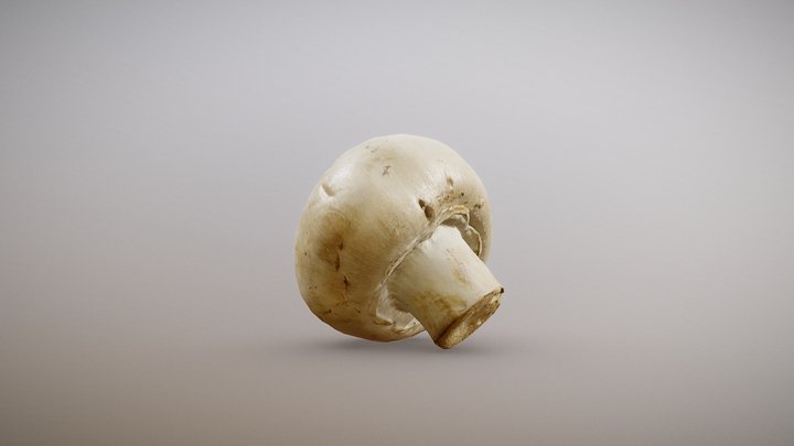 White Button Mushroom 3D Model