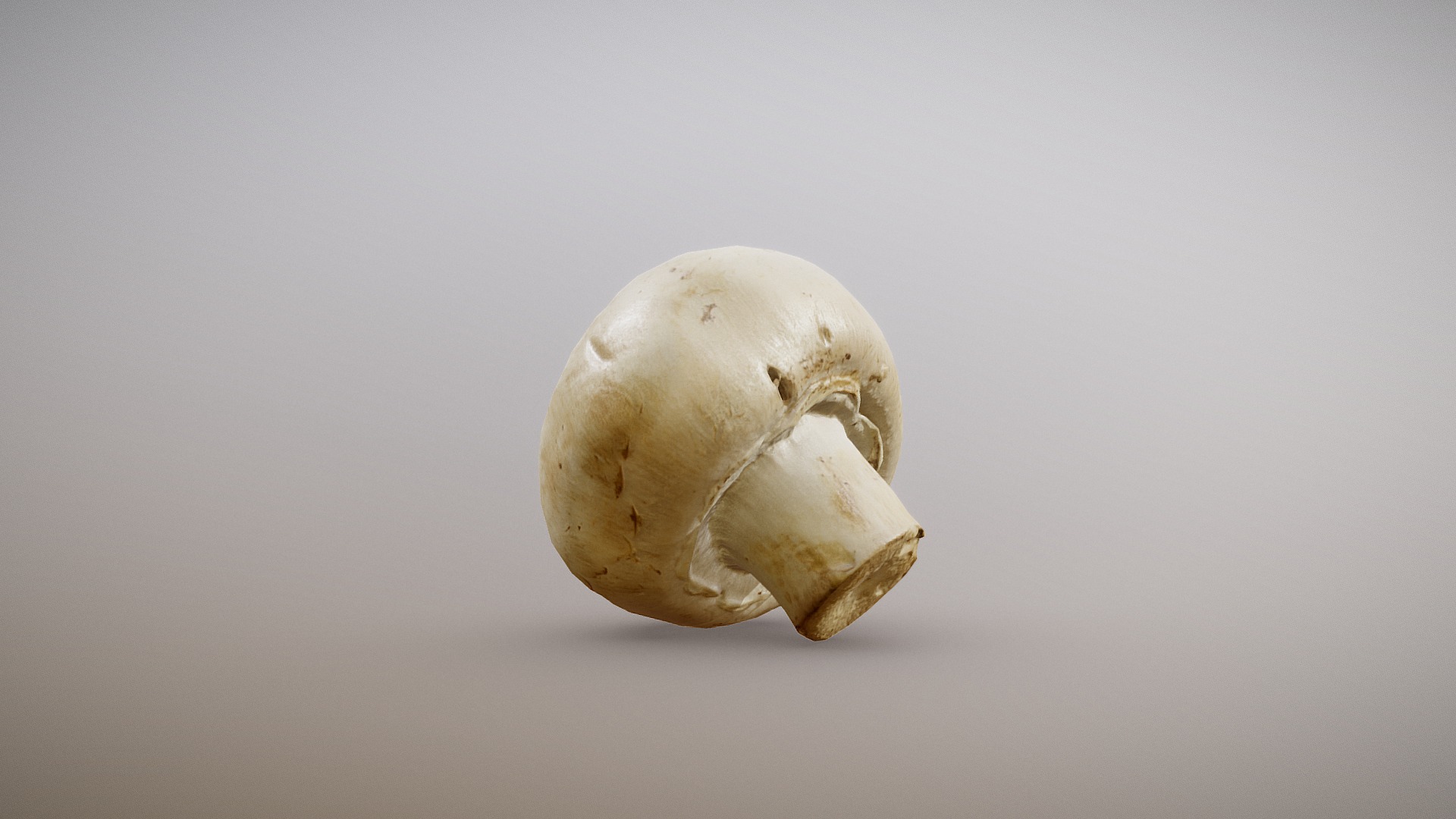 3D model White Button Mushroom - This is a 3D model of the White Button Mushroom. The 3D model is about a white snail on a white background.