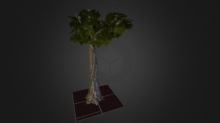 Prop tree 3D Model