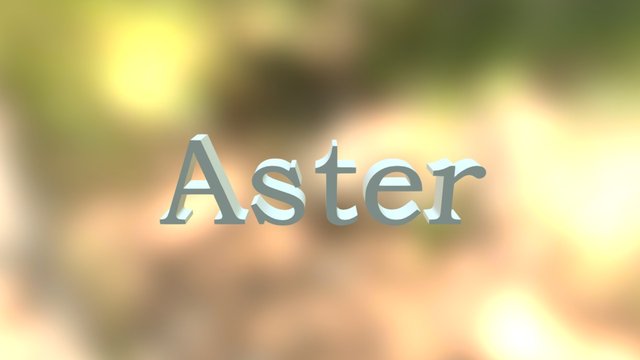 Aster 3D Model