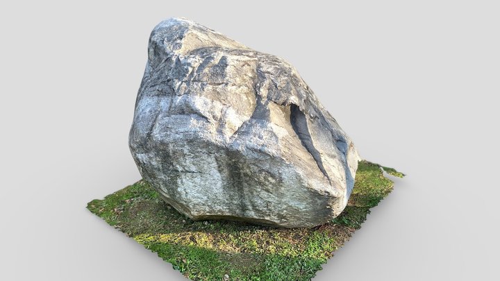 Large Stone 3D Model