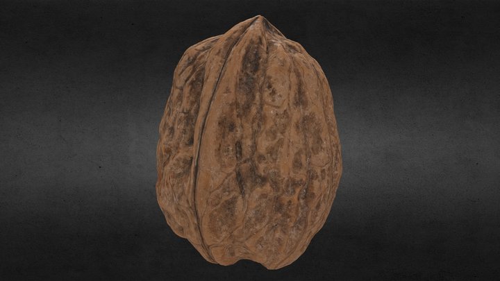 walnuts - noce - 8k texture 3D Model