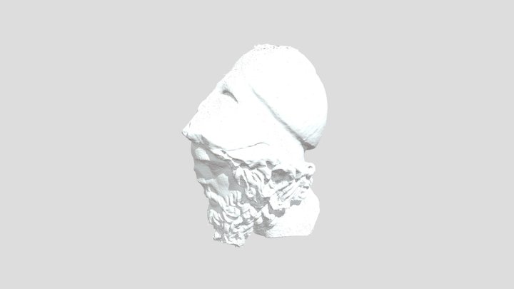 Head of "stratega" 3D Model