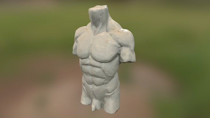 Torso 1 (Autodesk Remake) 3D Model