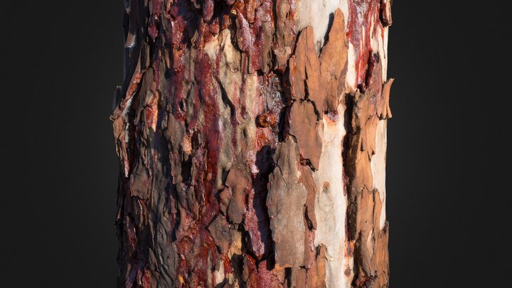 Tree Sap 3D Model