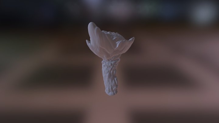 Agar Mushroom 1 3D Model