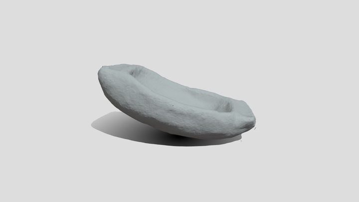 Gypsum Canoe Model 3D Model