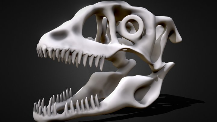 Azurearchosaur-skull 3D Model