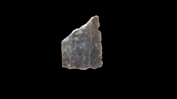 Microlito 3D Model