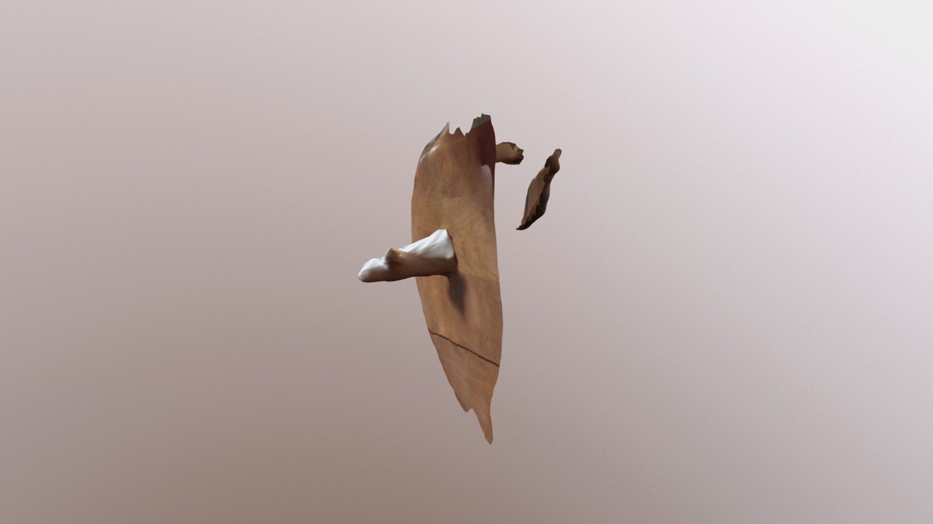 A TRNIO Model