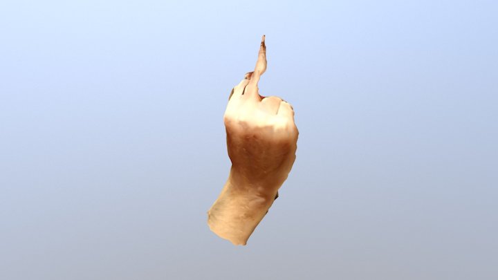test finger 3D Model