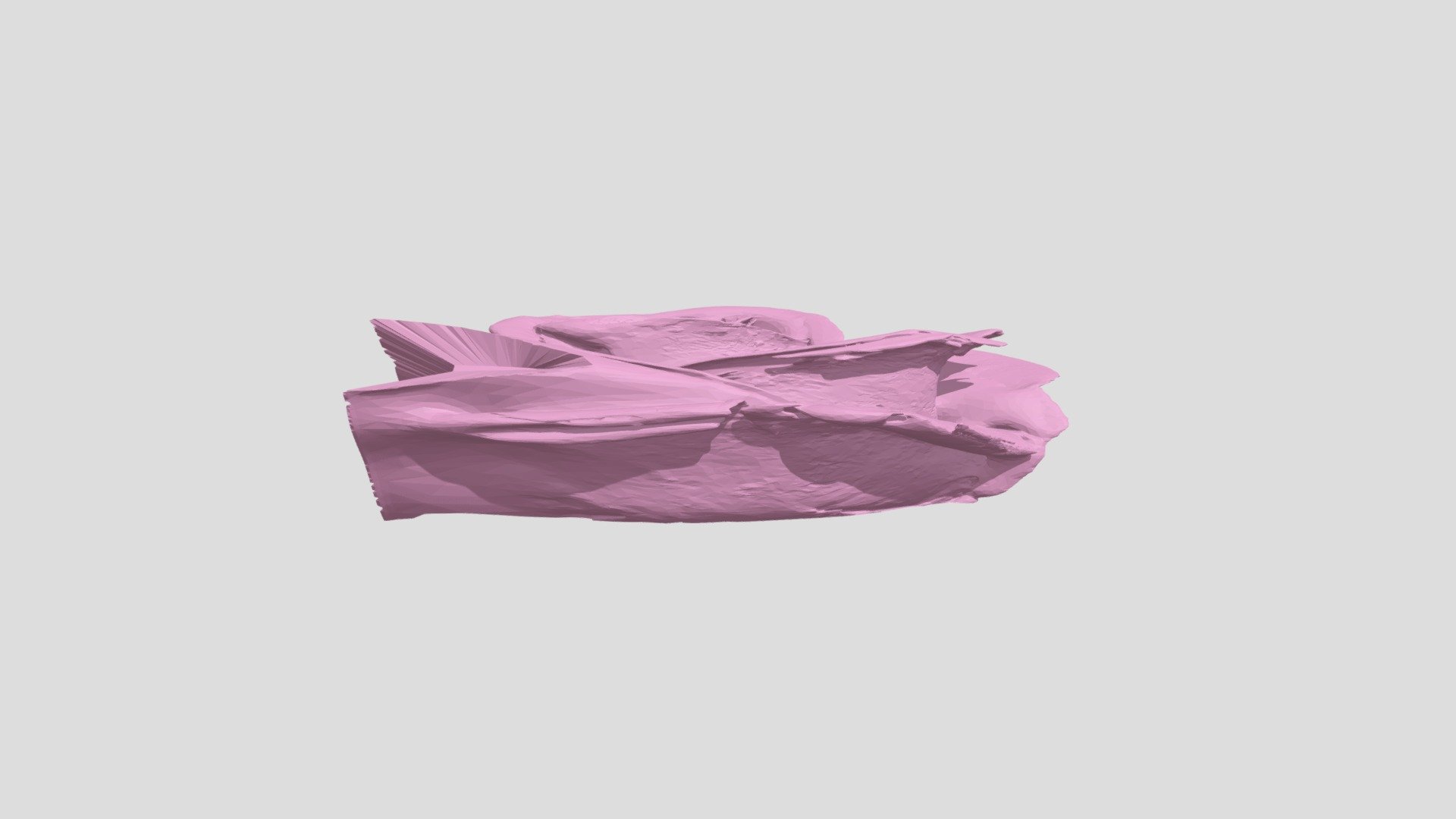 rose 2_2