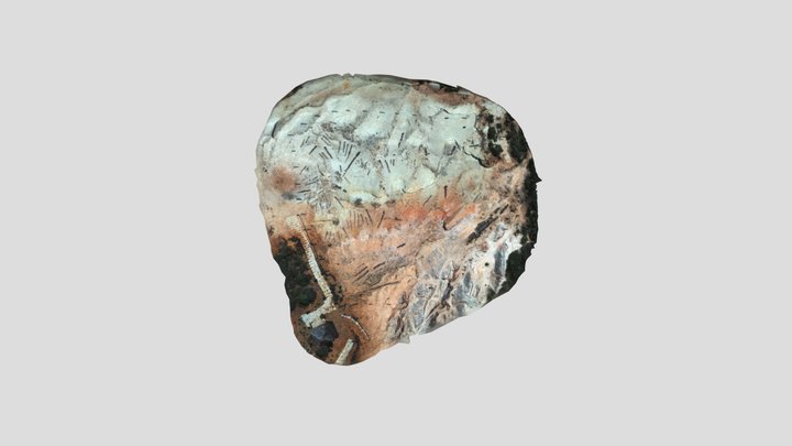 Bosque Petrificado Piedra Chamana 3D Model