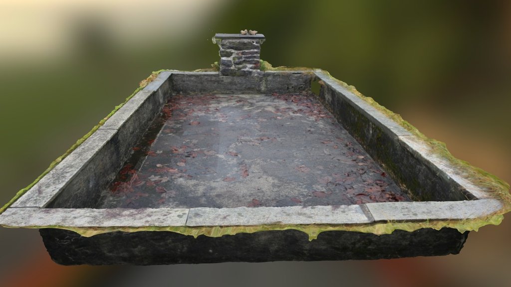 Overgrown Pool - 3D model by markus0000 [98867ef] - Sketchfab