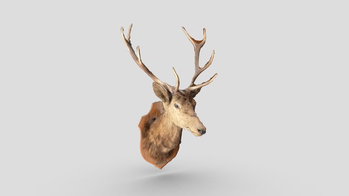 Deer from passage du Grand Cerf – Free 3D Model STL