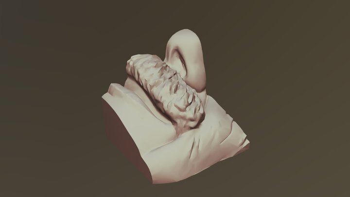 Cube-sample Nose 3D Model