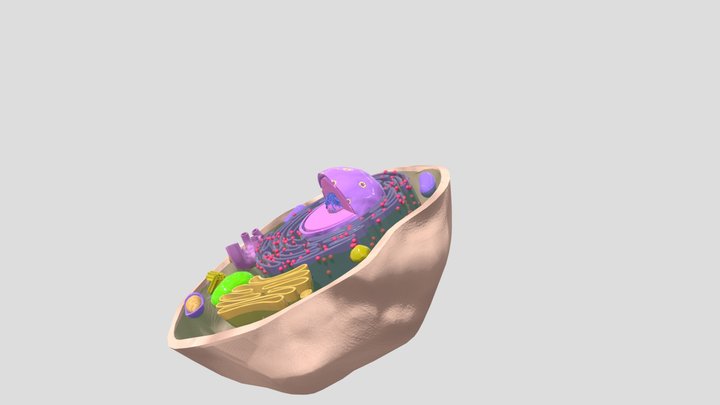 Celula 3D Model