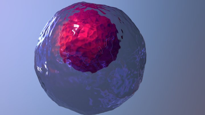 cell th1 3D Model