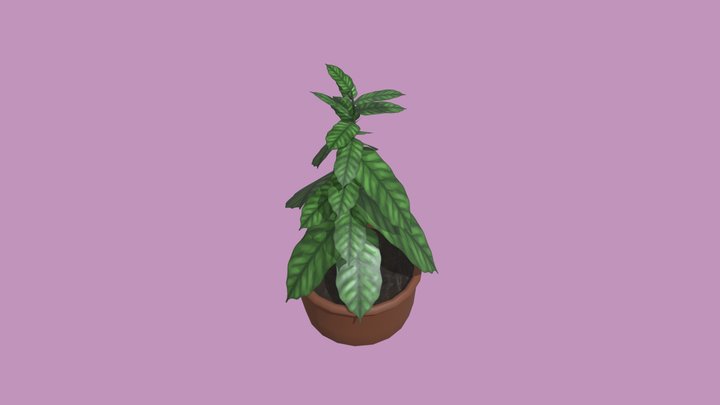 Potted Plant 3D Model