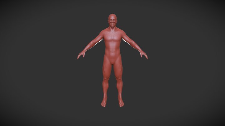 Male Base Mesh – Free 3D Model STL