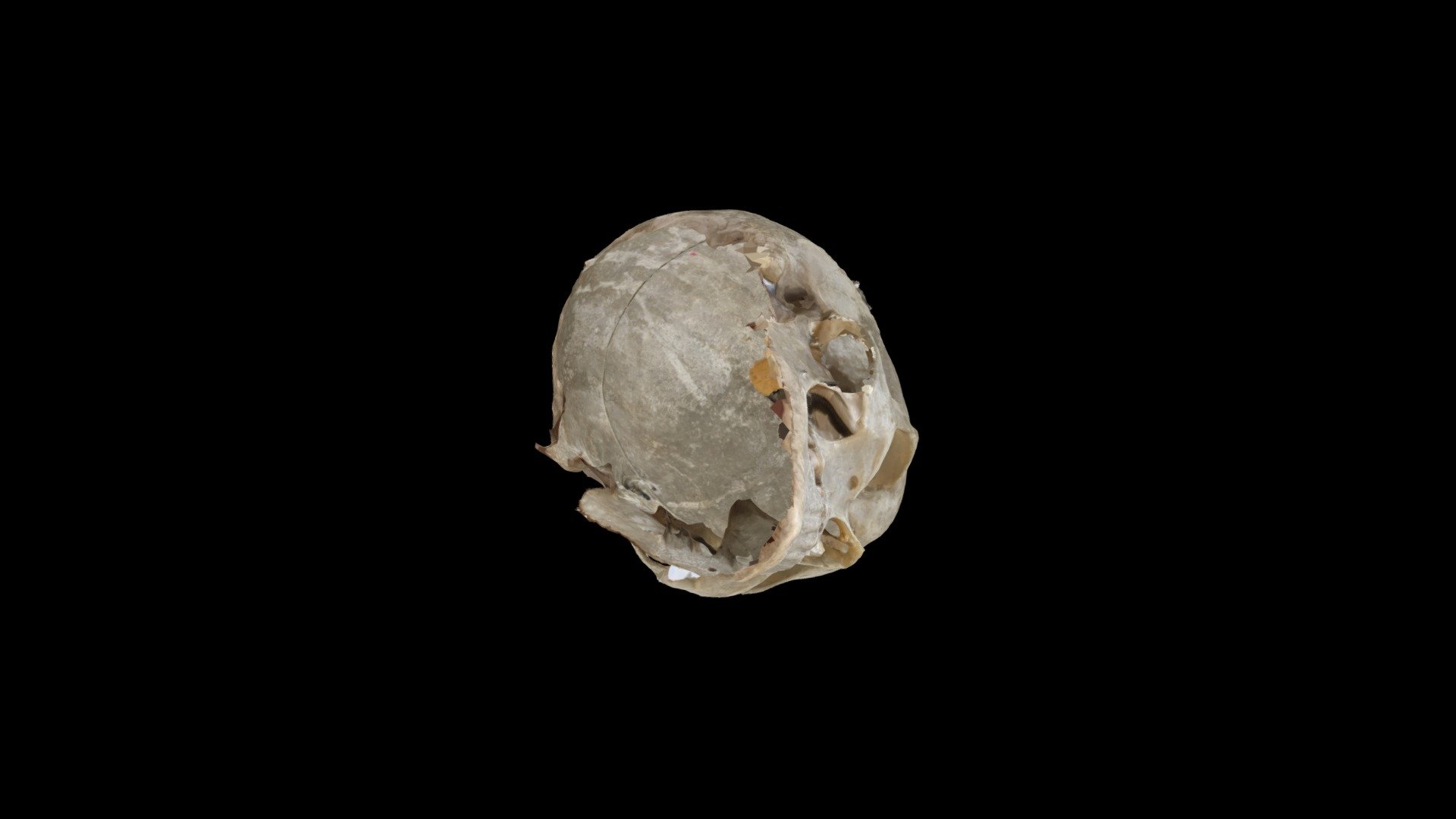 My awesome 3D asset