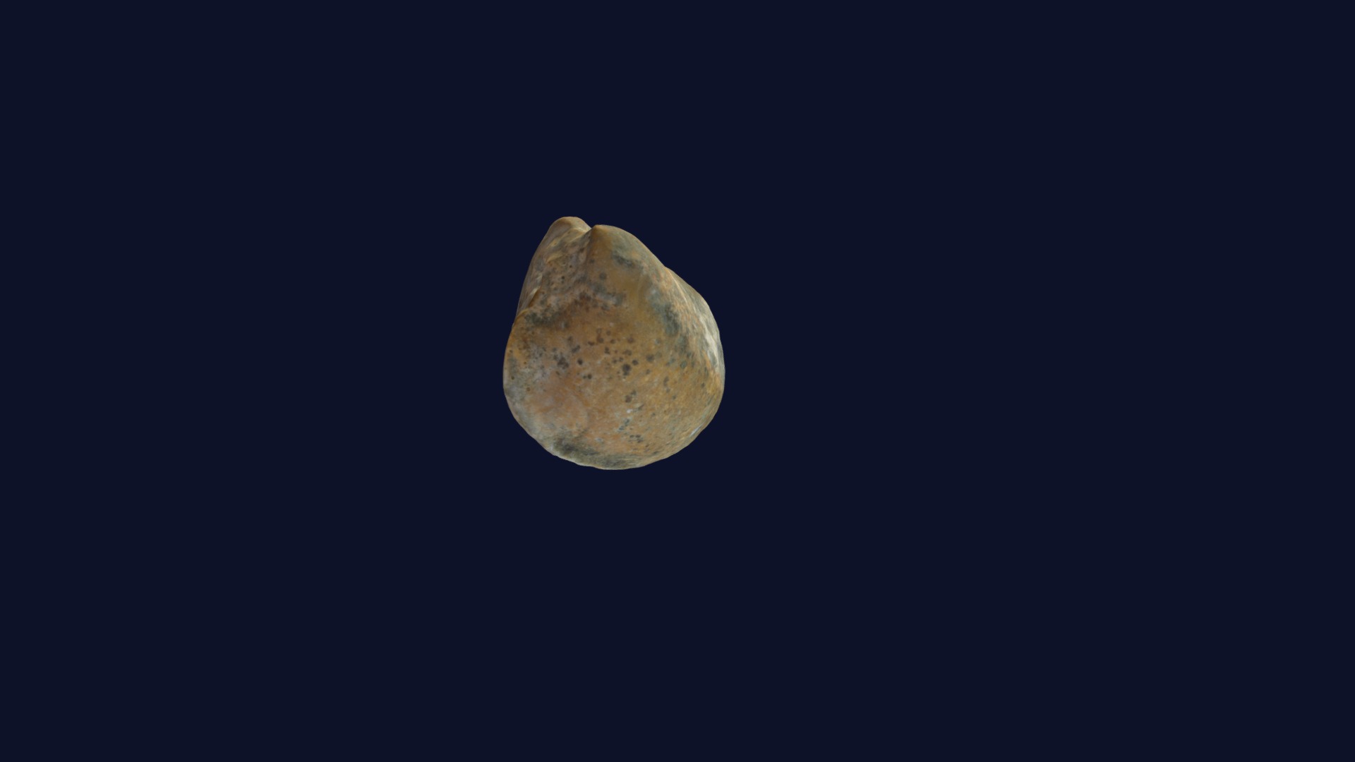 3D model Protocardia nutans - This is a 3D model of the Protocardia nutans. The 3D model is about a moon in the sky.