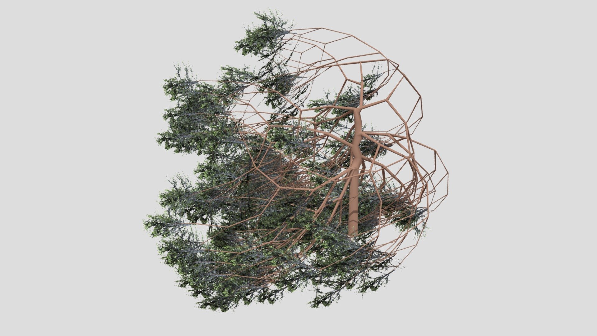 tree-purple