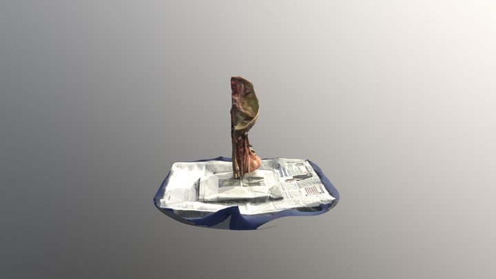 Face Real Obj 3D Model