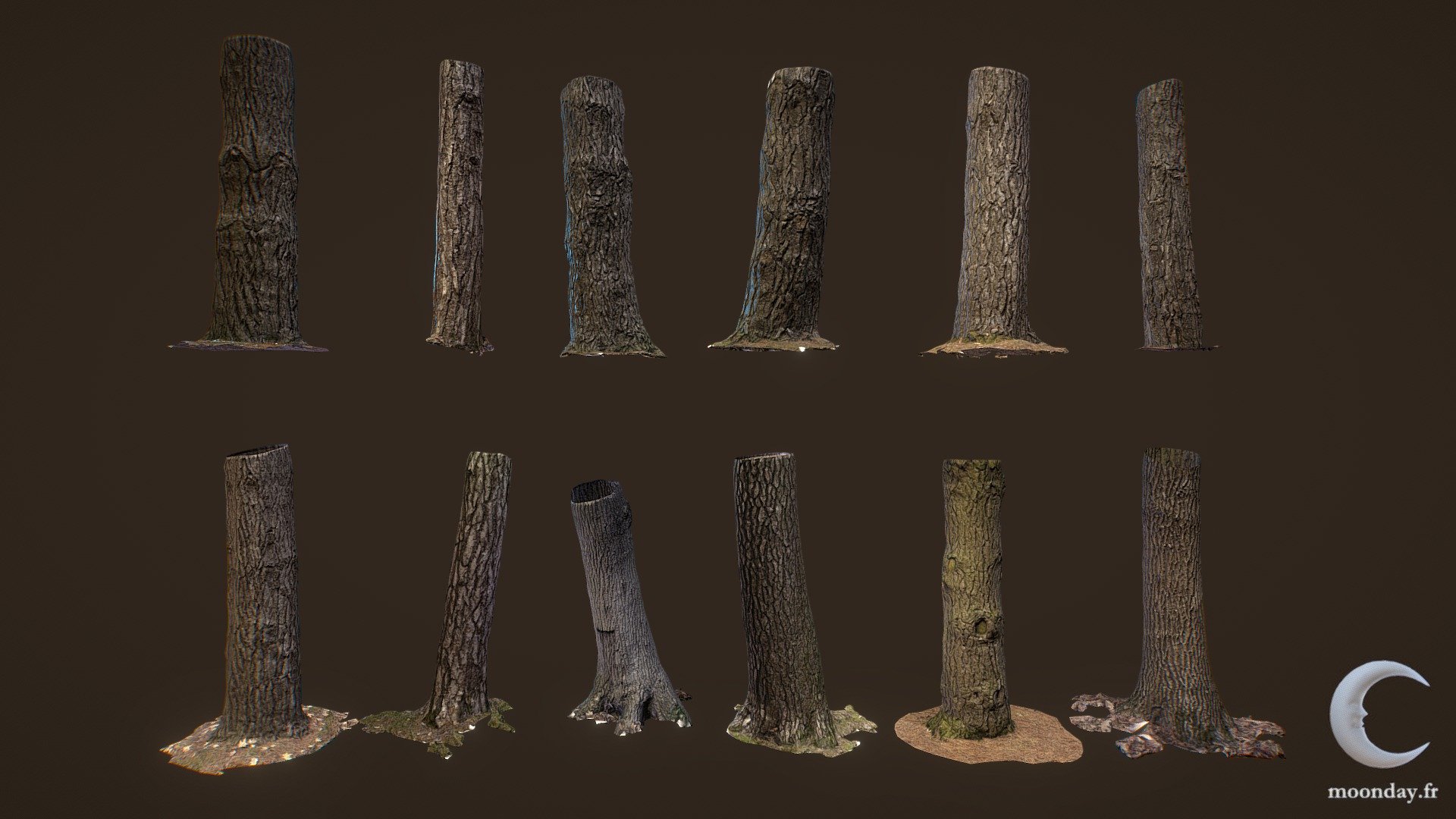 3D scanned Tree trunks - Pack 01