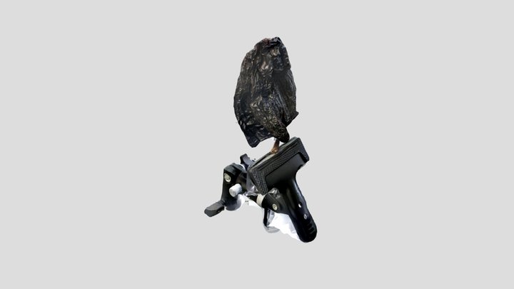 ancho1 3D Model