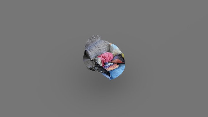 Kiwi Dormindo 3D Model