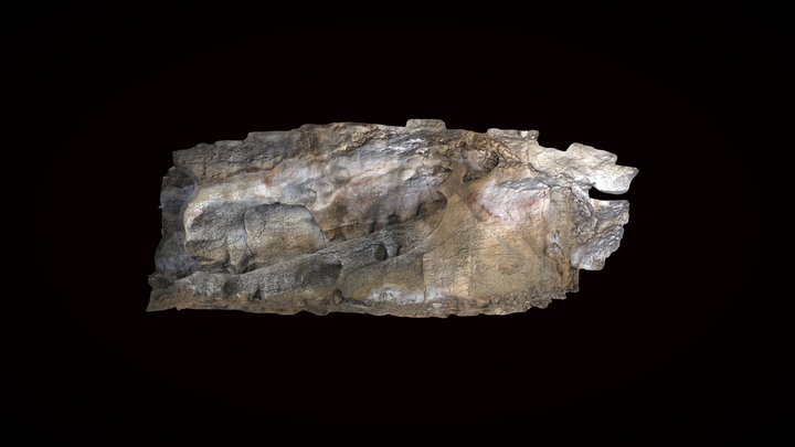 El Salitre cave- Panel B.II y B.III 3D Model