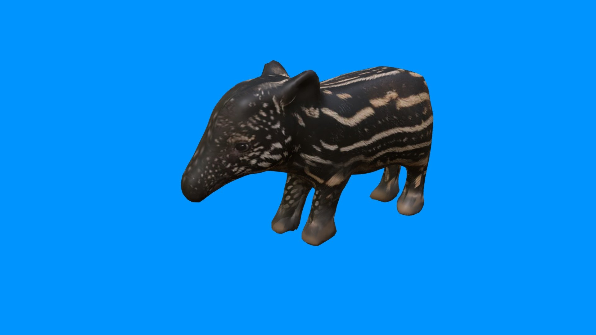 Baby Tapir Test - Download Free 3D model by kenchoo [989f4b1] - Sketchfab