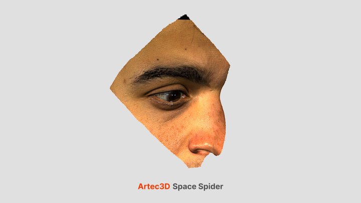 Eye 3D Model