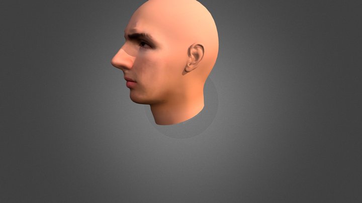 Albert, from the flamingo youtube channel 3D Model