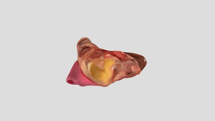 New Qlone 3D Model