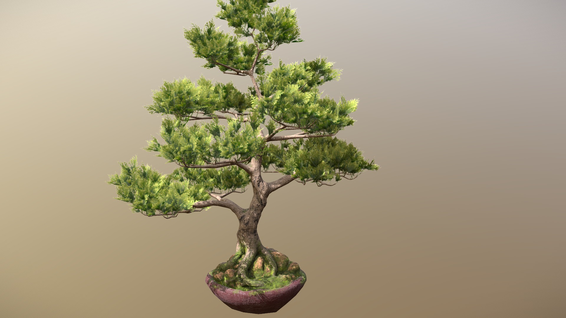 3D model Bonsai Tree - This is a 3D model of the Bonsai Tree. The 3D model is about a tree in a pot.