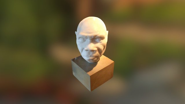 Homo Heidelbergensis 3D Model