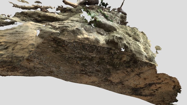 前島古第三紀層 3D Model
