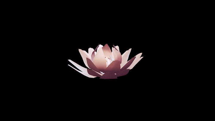 Lotus Flower 3D Model
