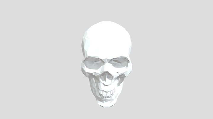 Head 3D Model