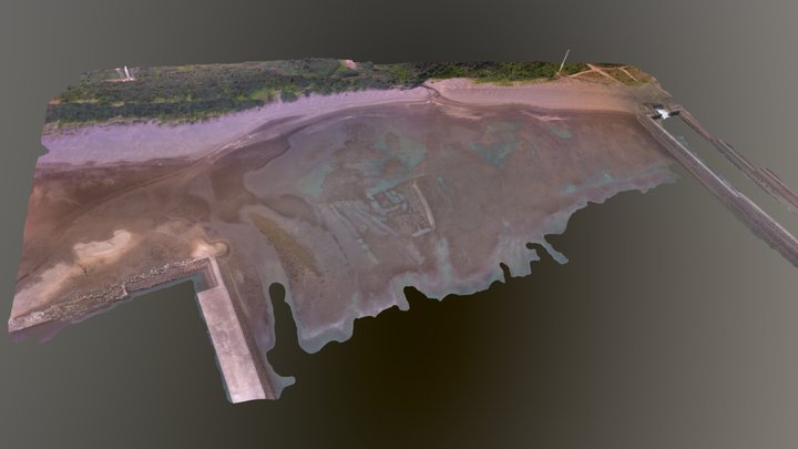 TW_Taoyuan_Datan_algal-reef_20170715 (桃園觀音大潭藻礁) 3D Model
