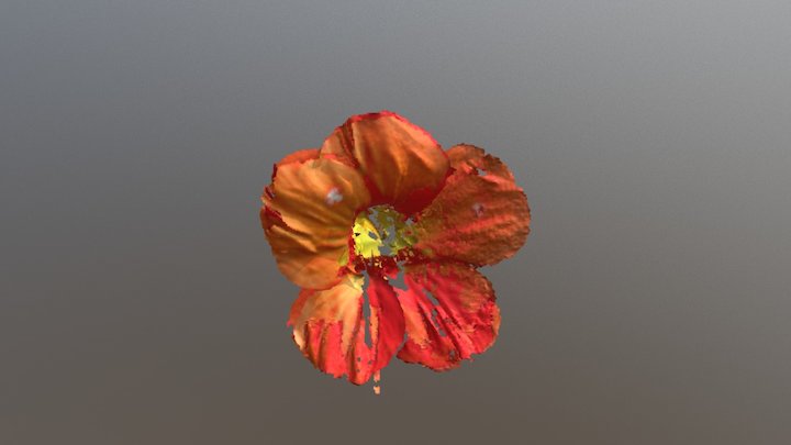 Nasturtium July31-2017 MeshLabModel 3D Model