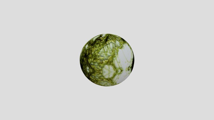 Algae Gallery 3D Model