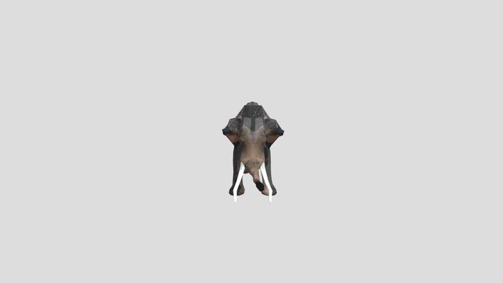 Columbian Mammoth – Modello 3D gratuito STL