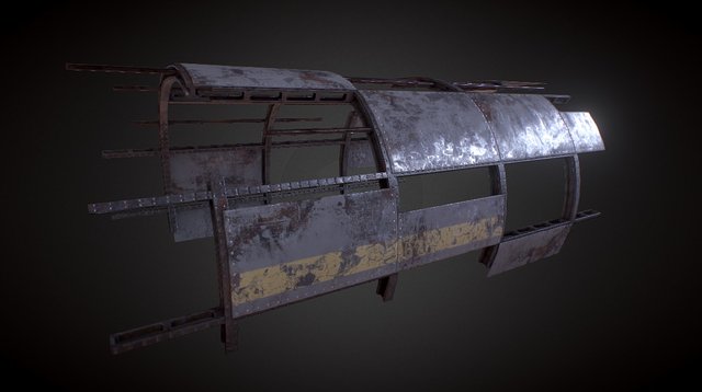 Carcass 3D Model