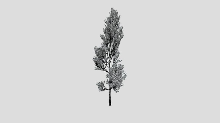 Coniferous Tree – Modello 3D gratuito STL
