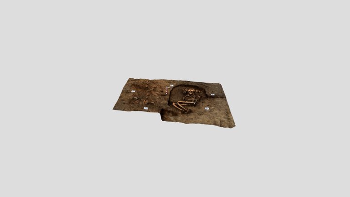 Ruginoasa - Dealul Ruginii / LBA Grave 3D Model