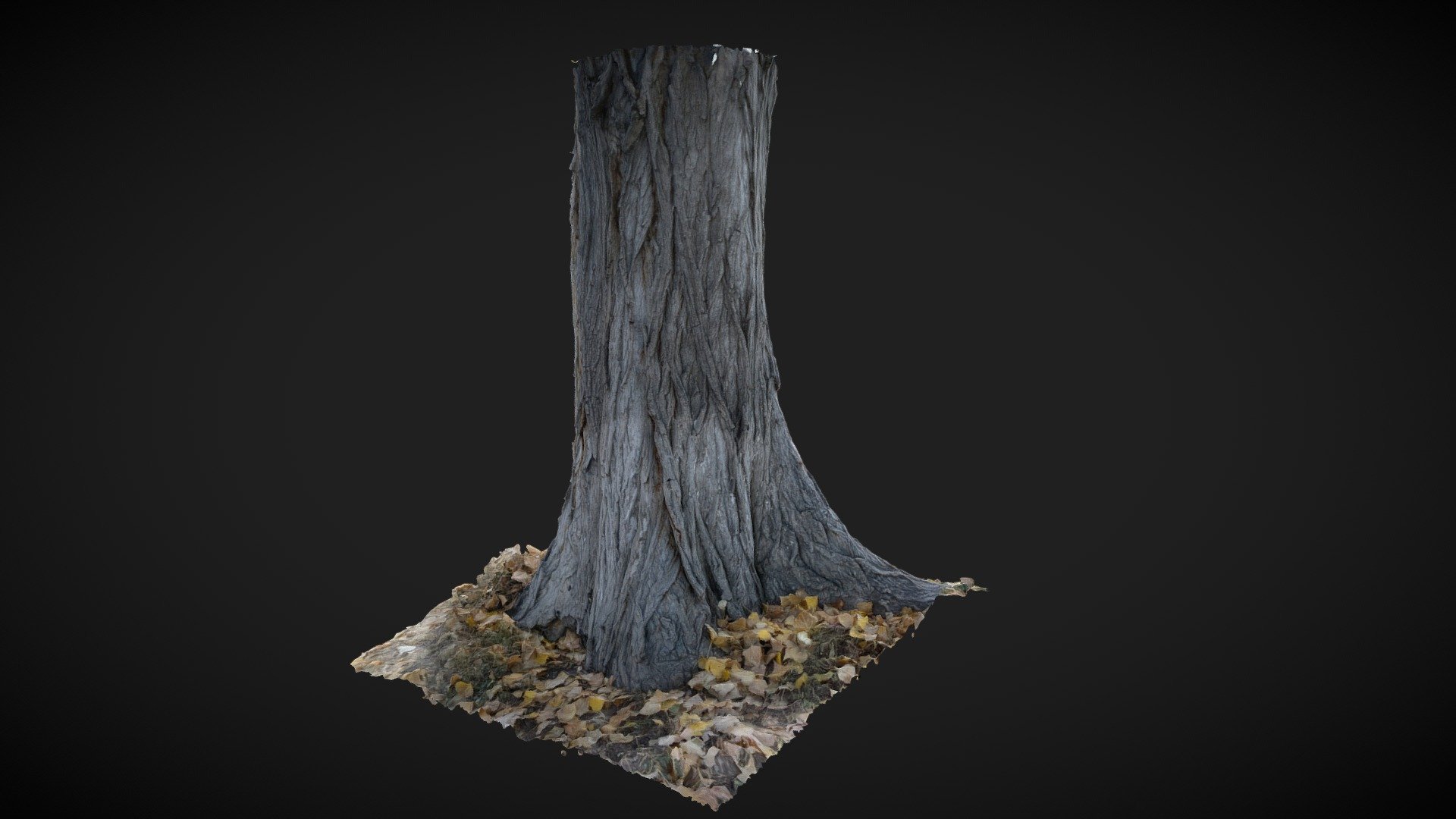 Tree Photogrammetry 3d model - Buy Royalty Free 3D model by 3D assets ...